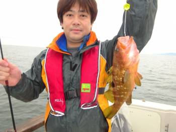 鯛紅丸 釣果