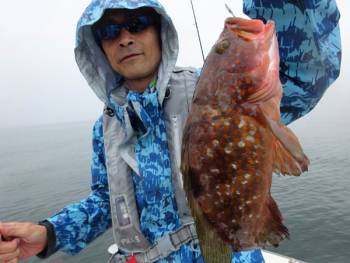 鯛紅丸 釣果