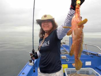 鯛紅丸 釣果