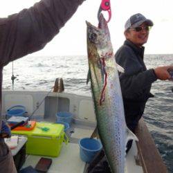 鯛紅丸 釣果