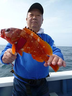 松栄丸 釣果