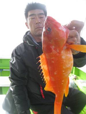 松栄丸 釣果