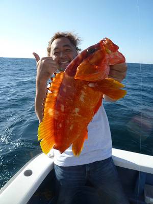 松栄丸 釣果