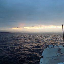 フィッシングボート空風(そらかぜ) 釣果