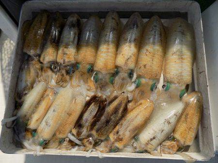 フィッシングボート空風(そらかぜ) 釣果