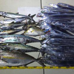 Hit Rush(ヒット ラッシュ) 釣果