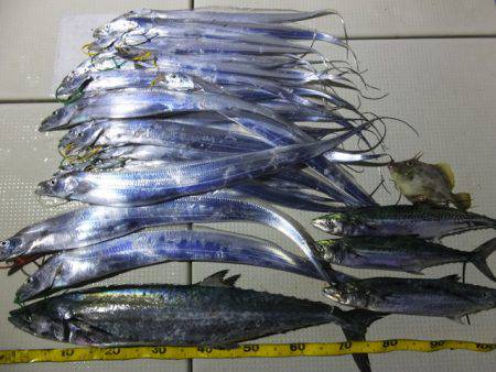 Hit Rush(ヒット ラッシュ） 釣果…