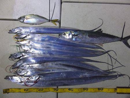 Hit Rush(ヒット ラッシュ） 釣果…