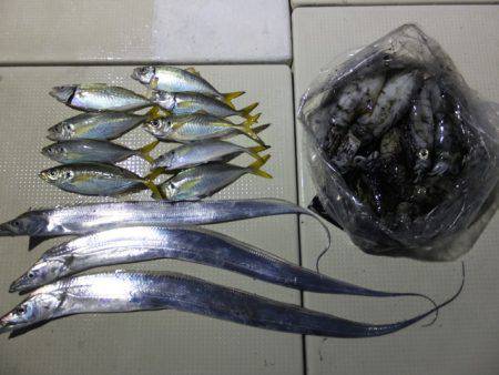 Hit Rush(ヒット ラッシュ） 釣果…