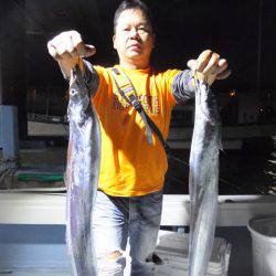 Hit Rush(ヒット ラッシュ) 釣果