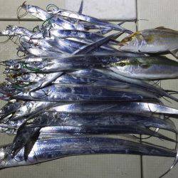 Hit Rush(ヒット ラッシュ） 釣果