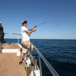 オーシャンズ　京都 釣果