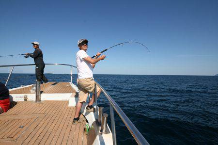 オーシャンズ　京都 釣果