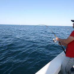 オーシャンズ　京都 釣果