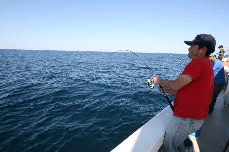 オーシャンズ　京都 釣果