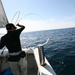 オーシャンズ　京都 釣果
