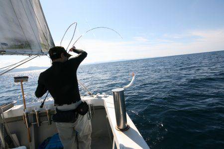 オーシャンズ　京都 釣果