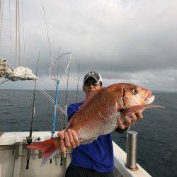 オーシャンズ　京都 釣果