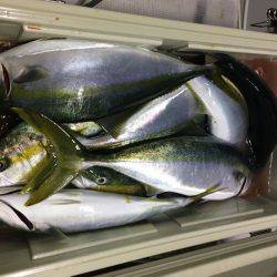 龍宮丸 釣果