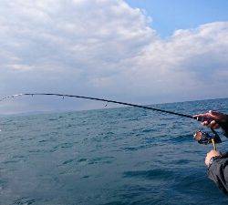 IDATEN（イダテン） 釣果