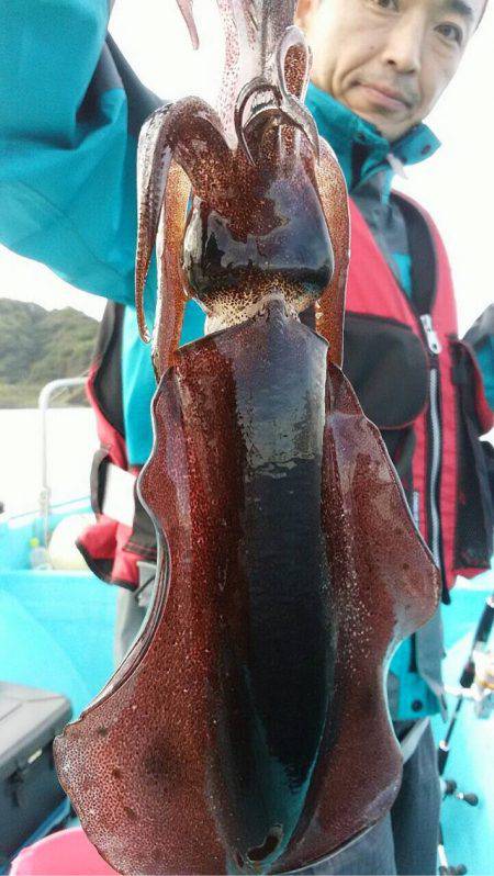 宝昌丸 釣果
