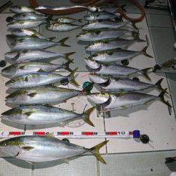 スカイマリン 釣果