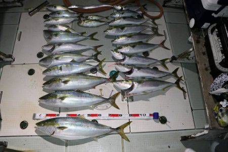 スカイマリン 釣果