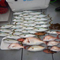 sea boss　シーボス 釣果