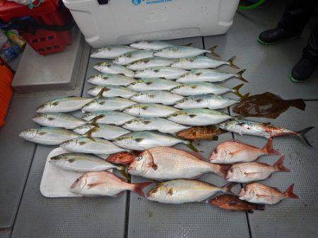 sea boss　シーボス 釣果