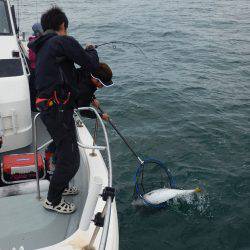 sea boss シーボス 釣果