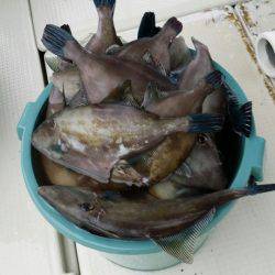 オーフリー 釣果