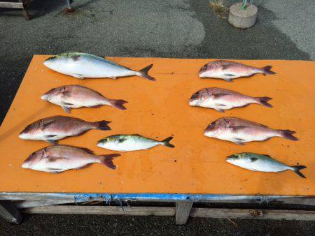 松名瀬フィッシングパーク 釣果