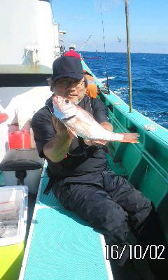 モンロー号 釣果