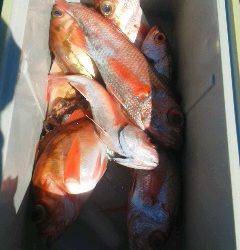 モンロー号 釣果