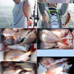 来温丸(らいおんまる) 釣果