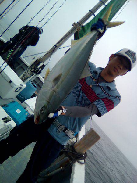 ファイヤードルフィン 釣果