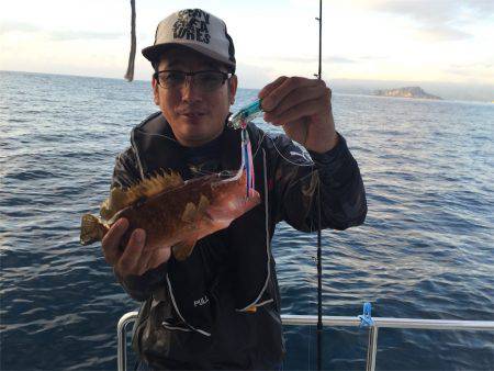 マタウマリンサービス 釣果