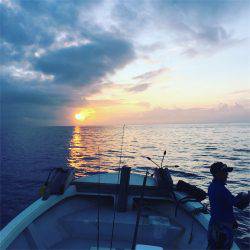 マタウマリンサービス 釣果