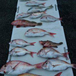 オーフリー 釣果