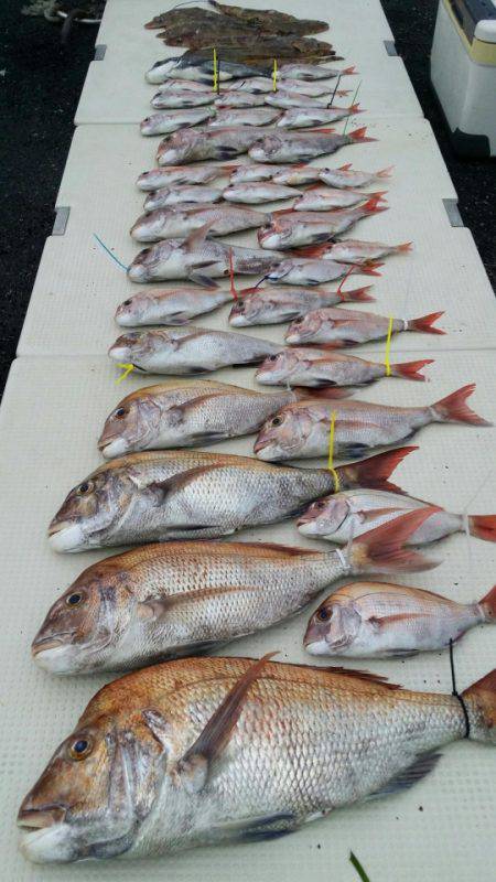 オーフリー 釣果