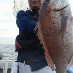 飛燕さくら丸 釣果