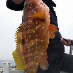 飛燕さくら丸 釣果
