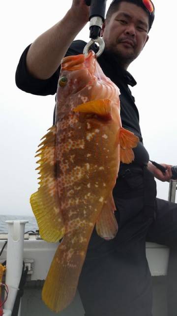 飛燕さくら丸 釣果