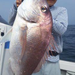 飛燕さくら丸 釣果