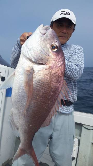 飛燕さくら丸 釣果