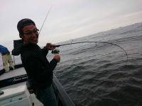 オーシャンマスター 釣果