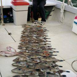 オーフリー 釣果