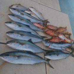 旭星釣りセンター 釣果