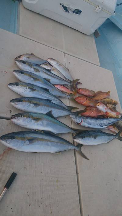 旭星釣りセンター 釣果