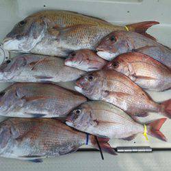 松本釣船２ 釣果